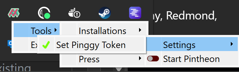 pinggy_set_token.png